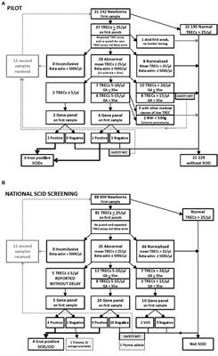 Second-Tier Next Generation Sequencing Integrated in Nationwide Newborn Screening Provides Rapid Molecular Diagnostics of Severe Combined Immunodeficiency